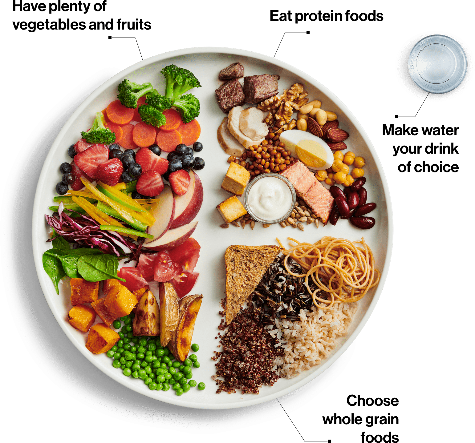 Plant Based Eating Tips