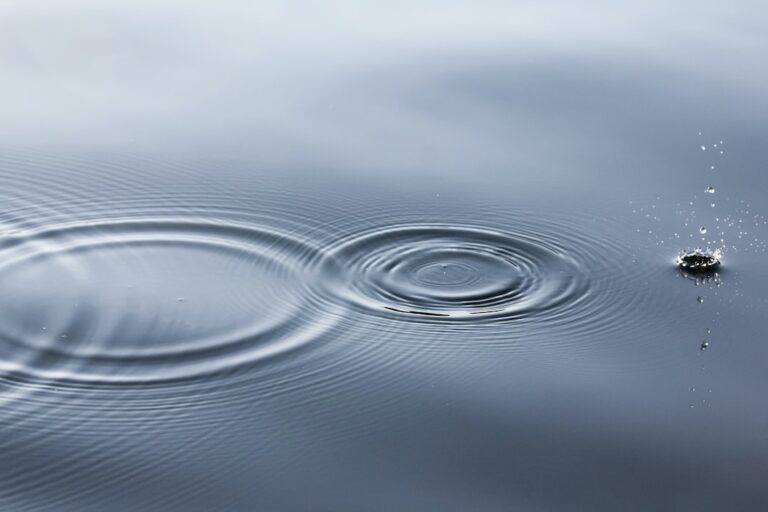 The Way of Water