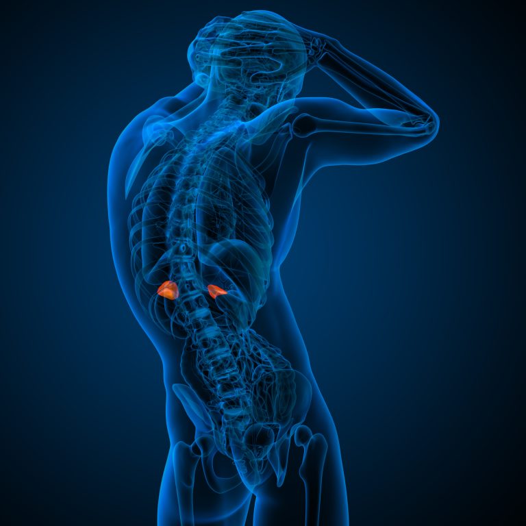 Adrenal Fatigue