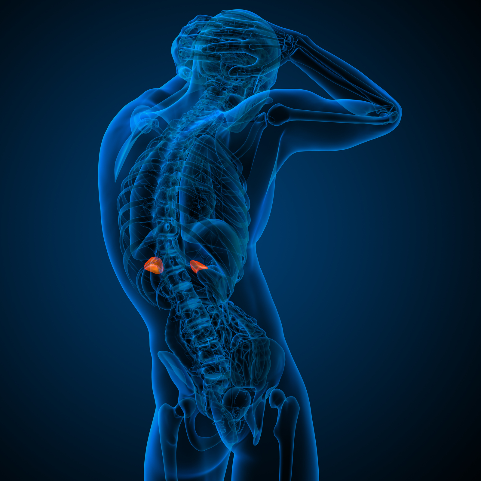 Adrenal Fatigue