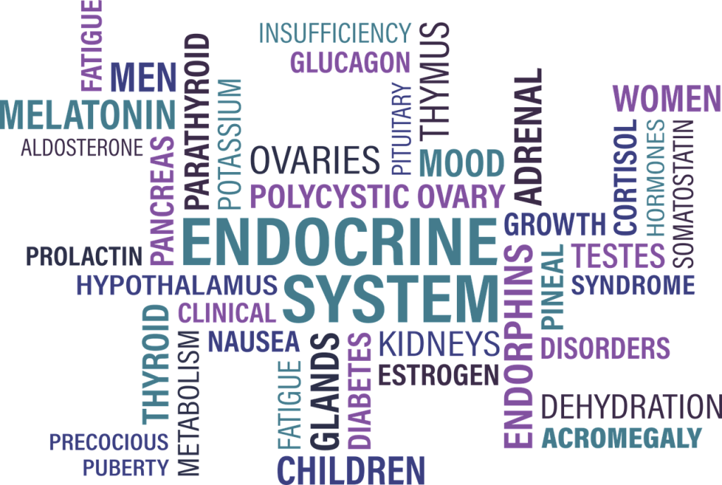 thyroid, endocrine, diabetes-1405039.jpg