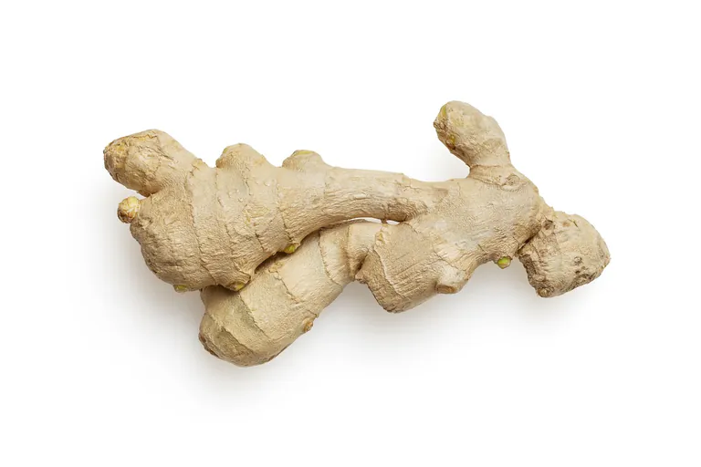 Ginger for Digestion